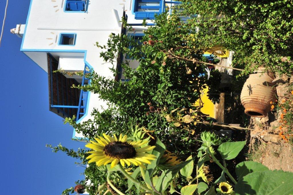 Pension Titika Katapola Exterior foto
