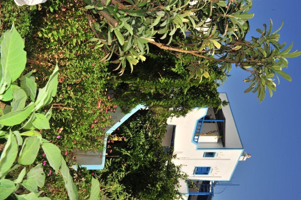 Pension Titika Katapola Exterior foto